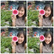 iu1314